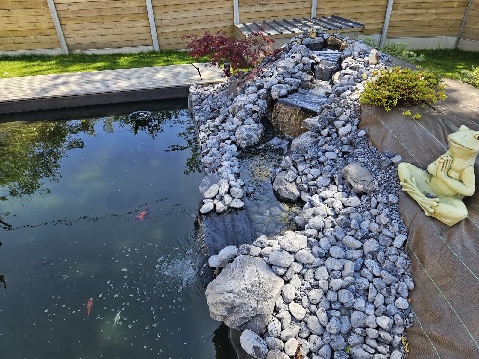 Bassin neuf avec ruisseau de galets et koï, terrasse bois — Bohars